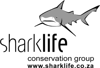 Sharklife Conservation Group